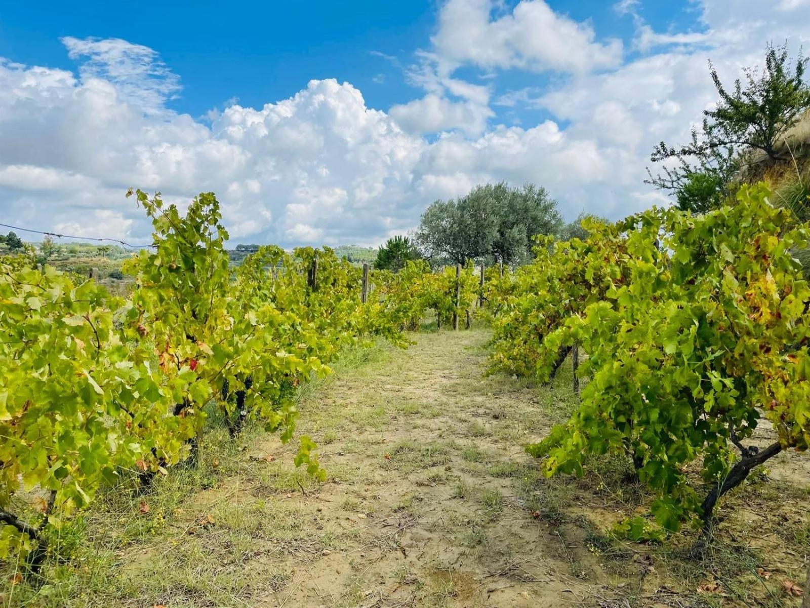 Agriresort Villa Bentivoglio Πιάτσα Αρμερίνα Εξωτερικό φωτογραφία