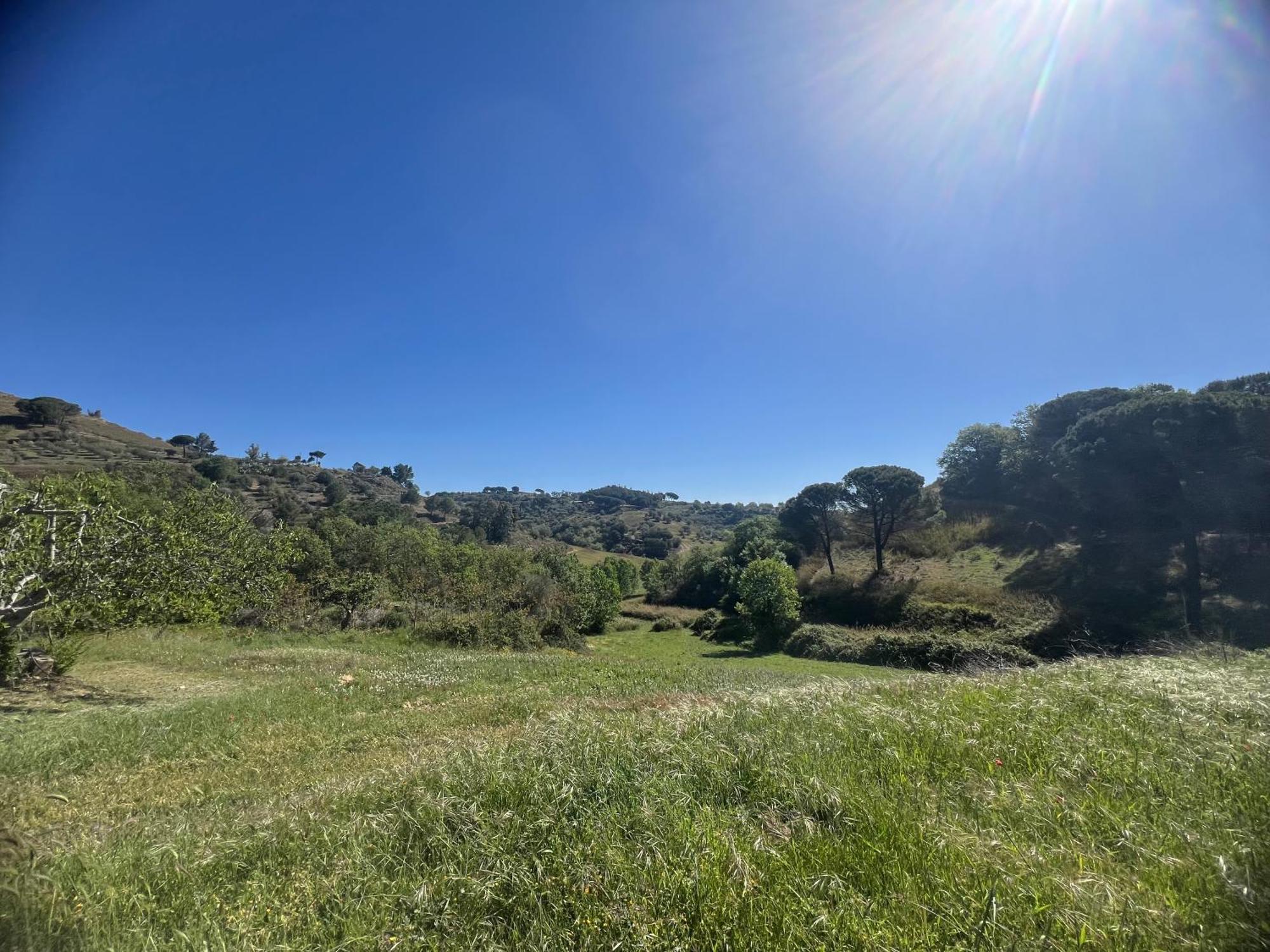 Agriresort Villa Bentivoglio Πιάτσα Αρμερίνα Εξωτερικό φωτογραφία